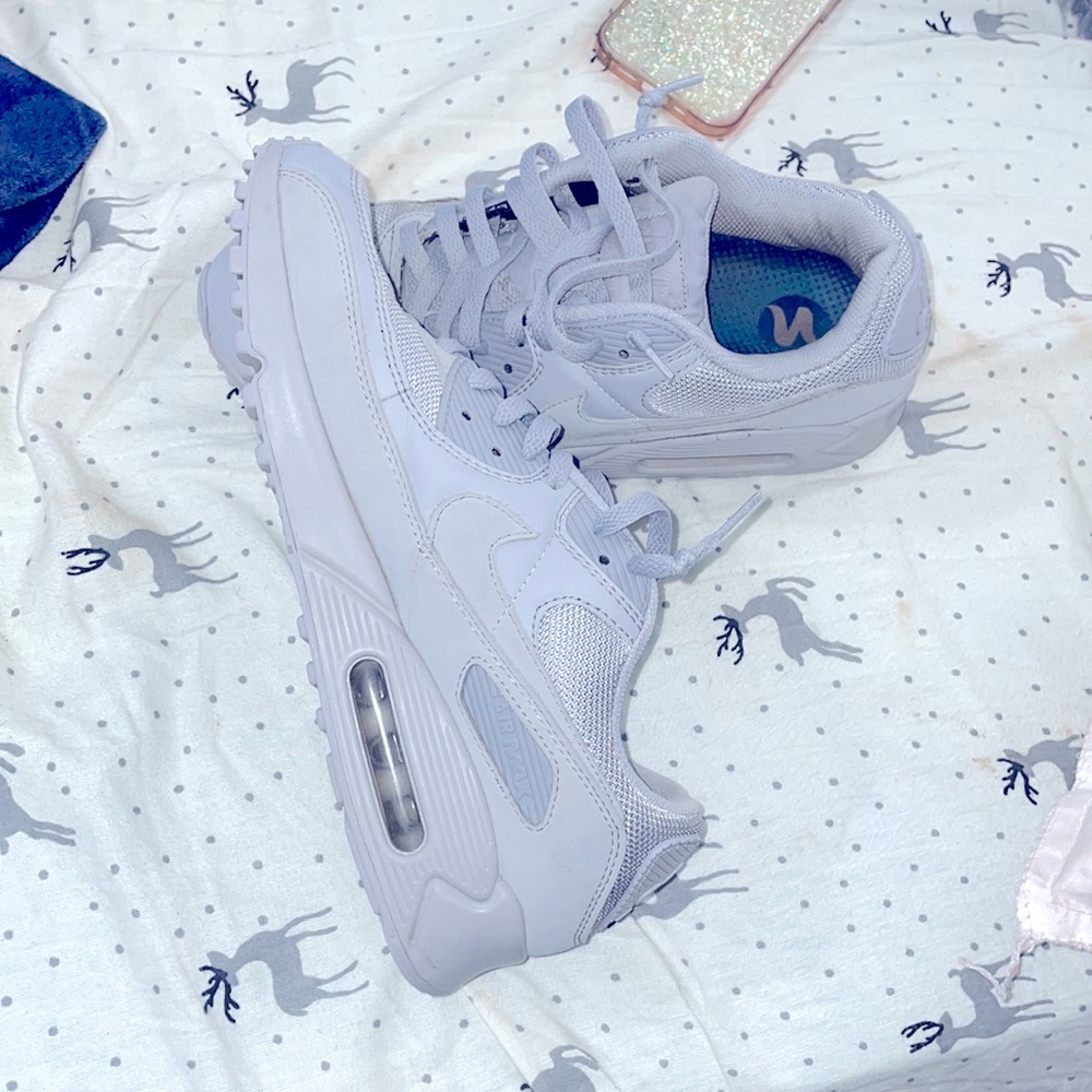 Nike Air max Wolf Gray